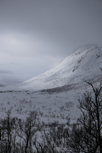 View of snow covered mountains and bare winter trees under a gloomy overcast sky in the arctic landscape Ersfjord Troms Norway. View of snow covered mountains and bare winter trees under a gloomy overcast sky in the arctic landscape Ersfjord Troms Norway.