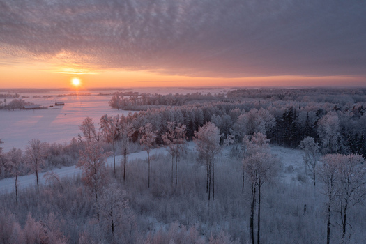 Aerial view of a frost covered forest and snow covered fields during a golden sunset in Pilsrundale Bauska Municipality Latvia.