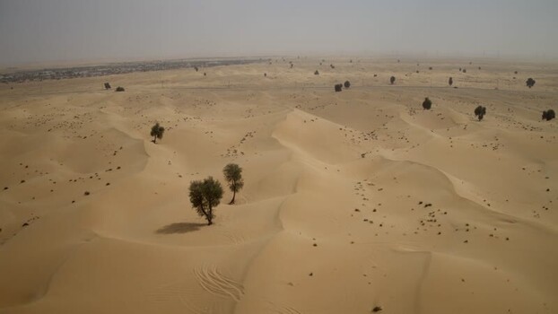 Aerial view of vast desert sand dunes with scattered green trees under a hazy sky in Dubai UAE