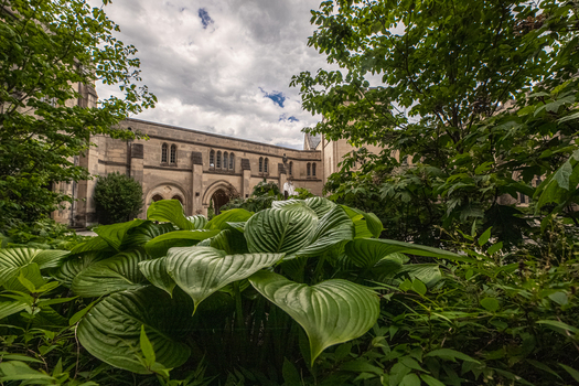 Washington District of Columbia United States 06 May 2025 View of Washington National Cathedral featuring lush hosta plants stone architecture and a cloudy sky.