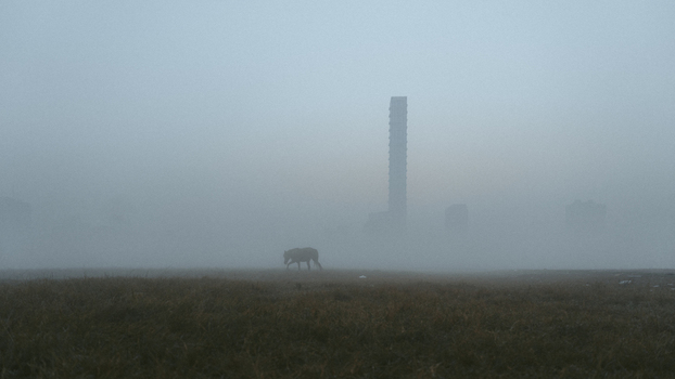 View of an elephant strides through the misty golden brown field a towering structure barely visible in the distance Kolkata West Bengal India. View of an elephant strides through the misty golden brown field a towering structure barely visible in the distance Kolkata West Bengal India.