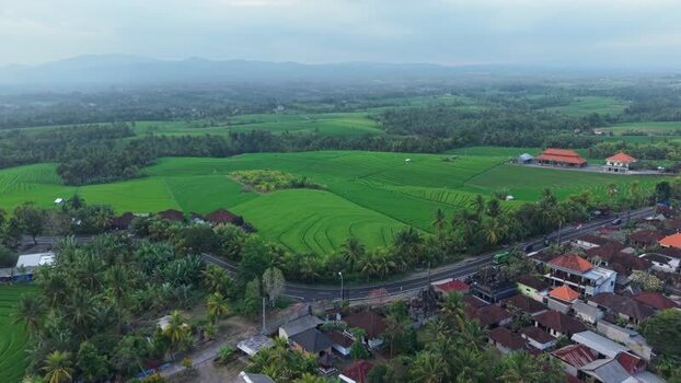 Aerial view of Soka Rice Field Views in Selemadeg Indonesia.