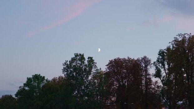 View of the crescent moon above trees in Olomouc Czechia.