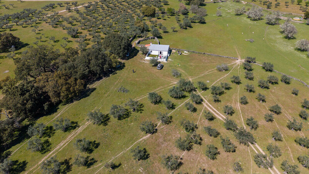 Aerial view of a solitary house nestled amidst a sprawling olive grove its white walls gleaming against the verdant landscape Navas del Madrono Extremadura Spain.