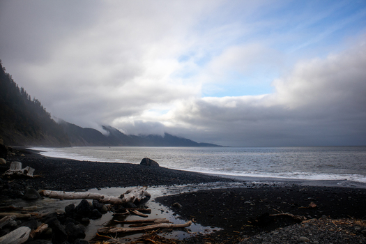 View of the rugged black sand beach with driftwood and misty mountains under a cloudy sky at the Lost Coast Humboldt County California United States.