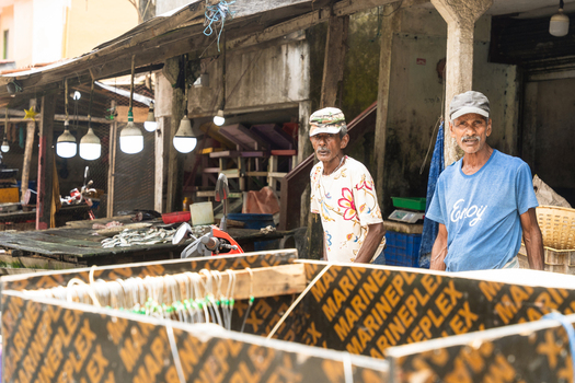 Sri Lanka 18 February 2026 View of two local men standing at a fish market stall with fresh catch on display and hanging light bulbs.