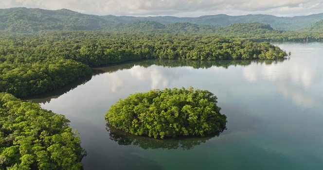 Aerial view of a small lush green island surrounded by calm waters and dense mangrove forests in the Solomon Islands. Aerial view of a small lush green island surrounded by calm waters and dense mangrove forests in the Solomon Islands.