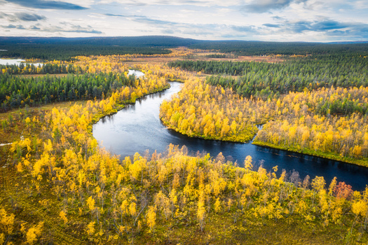 Aerial view of a winding river flowing through a vibrant autumn forest with golden foliage and dark water in Enontekio Lapland Finland. Aerial view of a winding river flowing through a vibrant autumn forest with golden foliage and dark water in Enontekio Lapland Finland.