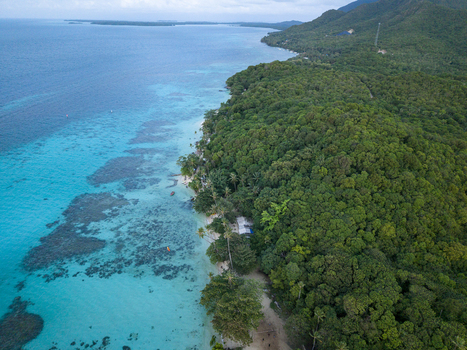 Aerial view of the coast where the turquoise sea meets the lush green forest Tanjung Gelam Beach Karimunjawa Central Java Indonesia. Aerial view of the coast where the turquoise sea meets the lush green forest Tanjung Gelam Beach Karimunjawa Central Java Indonesia.