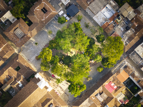 Aerial view of the vibrant green canopy of trees in the central plaza contrasting with the warm terracotta rooftops Salamina Caldas Colombia. Aerial view of the vibrant green canopy of trees in the central plaza contrasting with the warm terracotta rooftops Salamina Caldas Colombia.