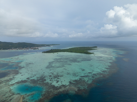 Aerial view of an island surrounded by turquoise waters meeting the deep blue sea under a vast sky at Menjangan Besar Island Karimunjawa Central Java Indonesia.