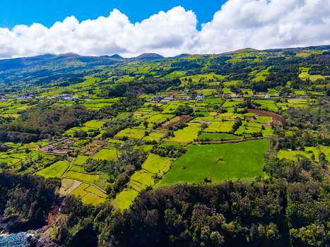 Aerial view of a vibrant tapestry of verdant fields and dark forests meeting the rugged coastline under a bright sky Pico Azores Portugal. Aerial view of a vibrant tapestry of verdant fields and dark forests meeting the rugged coastline under a bright sky Pico Azores Portugal.