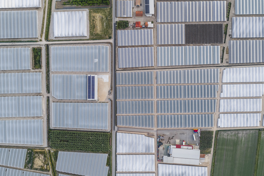 Aerial view of a vast complex of industrial greenhouses and agricultural polytunnels organized in a geometric grid pattern Paestum Campania Italy.