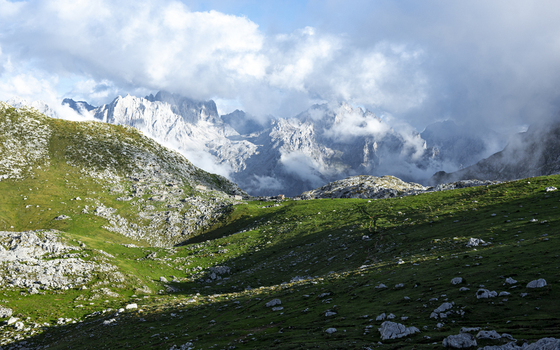 View of green fields dotted with rocks leading to the snow capped Picos de Europa mountains shrouded in mist and clouds Picos de Europa Asturias Spain. View of green fields dotted with rocks leading to the snow capped Picos de Europa mountains shrouded in mist and clouds Picos de Europa Asturias Spain.