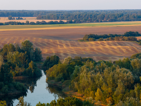 Aerial view of rolling agricultural fields and a winding river surrounded by dense green trees under soft golden light Taujenai Vilnius County Lithuania.