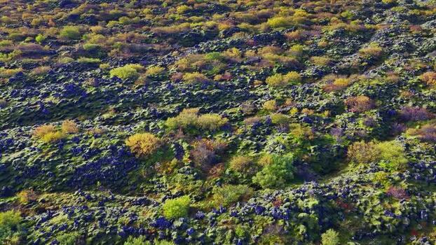 Aerial view of volcanic landscape with autumn colors in Iceland. Aerial view of volcanic landscape with autumn colors in Iceland.