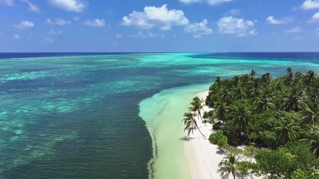 Aerial view of a tropical island with palm trees and coral reefs Maldives. Aerial view of a tropical island with palm trees and coral reefs Maldives.