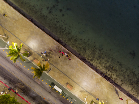 Aerial view of the Malecon de La Paz at night with palm trees people walking along the illuminated waterfront and calm sea waters in La Paz Baja California Sur Mexico.