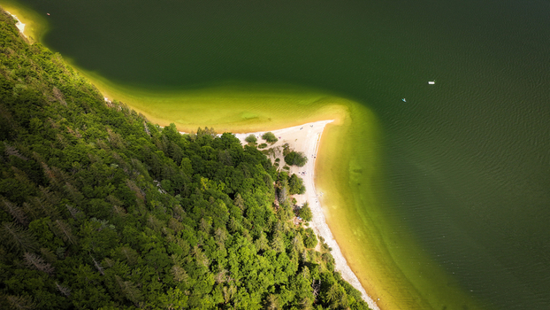 Aerial view of the dark lake water meeting the light sandy shore contrasting with the lush green forest Le Lieu Vaud Switzerland.