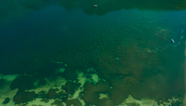 Aerial view of Blind Lake Sarfaranga Shigar showing clear turquoise water with submerged aquatic vegetation and a small boat floating on the surface in Skardu Gilgit Pakistan.