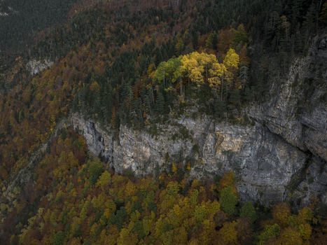 Aerial view of the rocky cliffs of the Pyrenees mountains surrounded by a dense forest with vibrant autumn foliage Spain. Aerial view of the rocky cliffs of the Pyrenees mountains surrounded by a dense forest with vibrant autumn foliage Spain.