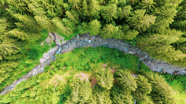 Aerial view of a winding stream flowing through a dense coniferous forest in Muhlwald Trentino Alto Adige S Italy. Aerial view of a winding stream flowing through a dense coniferous forest in Muhlwald Trentino Alto Adige S Italy.