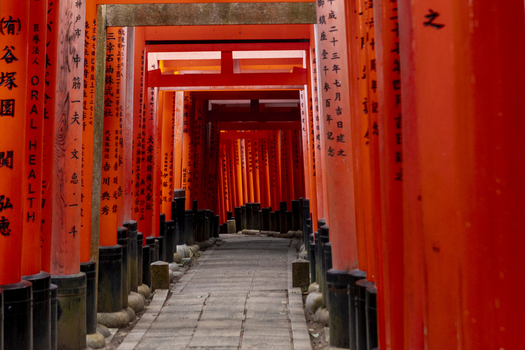 View of the iconic Senbon Torii with vibrant orange gates creating a tunnel over a stone path at Fushimi Inari taisha shrine Kyoto Kyoto Japan.