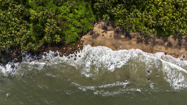Aerial view of Betul Beach featuring waves crashing against the sandy shore and rocky coastline bordered by dense palm trees in Mobor Beach Goa India.