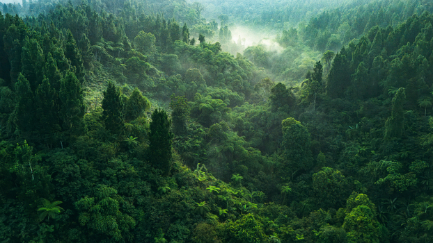 Aerial view of the dense tropical rainforest with mist rising from the valley and lush green canopy in Sukabumi West Java Indonesia. Aerial view of the dense tropical rainforest with mist rising from the valley and lush green canopy in Sukabumi West Java Indonesia.