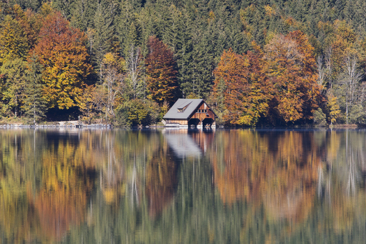 View of the wooden boathouse on Offensee lake surrounded by vibrant autumn foliage and calm water reflections in Ebensee Upper Austria Austria. View of the wooden boathouse on Offensee lake surrounded by vibrant autumn foliage and calm water reflections in Ebensee Upper Austria Austria.