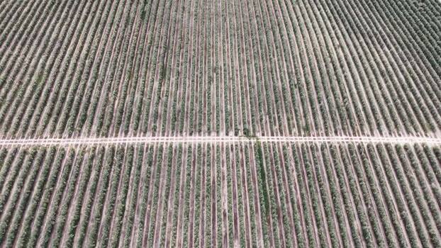 Aerial view of agricultural fields in Talayuela Spain. Aerial view of agricultural fields in Talayuela Spain.