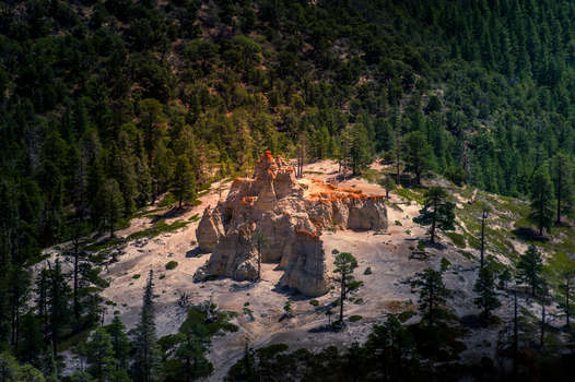 View of the unique rock formations and hoodoos of Bryce Canyon National Park surrounded by pine trees and sandy terrain in Utah United States.