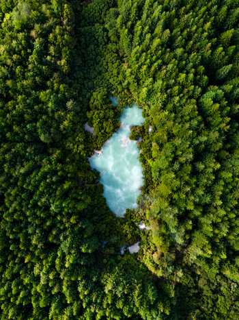 Aerial view of a turquoise pool nestled amidst a sea of dense verdant forest a stark contrast of vibrant colors and natural beauty Waiotapu Waikato Region New Zealand. Aerial view of a turquoise pool nestled amidst a sea of dense verdant forest a stark contrast of vibrant colors and natural beauty Waiotapu Waikato Region New Zealand.