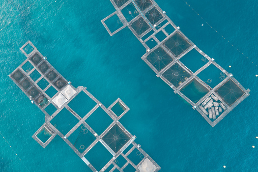 Aerial view of fish farming cages floating in the turquoise Mediterranean Sea off the coast of Antibes Provence Alpes Cote d Azur France. Aerial view of fish farming cages floating in the turquoise Mediterranean Sea off the coast of Antibes Provence Alpes Cote d Azur France.