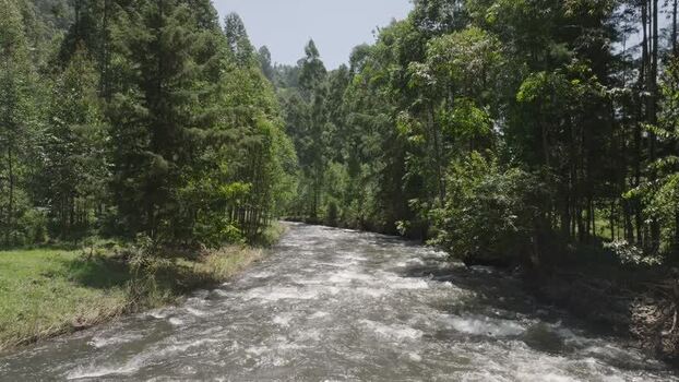 Aerial view of river flowing through trees Kenya.