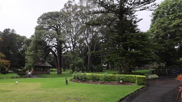 View of Royal Botanic Garden Sydney with lush trees Australia.