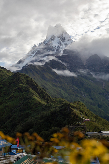 Pokhara Gandaki Province Nepal 27 August 2026 View of the majestic Machhapuchhre peak rising above lush green hills and clouds along the Mardi Himal Trek in the Himalayas.