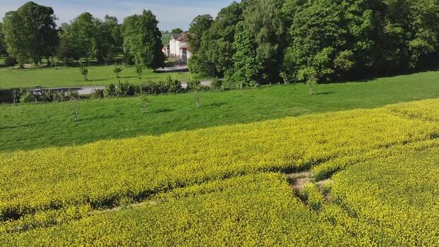 Aerial view of blooming yellow rapeseed fields and green meadows Germany. Aerial view of blooming yellow rapeseed fields and green meadows Germany.