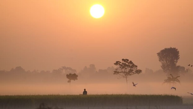View of a person in a misty field at sunrise Bangladesh. View of a person in a misty field at sunrise Bangladesh.