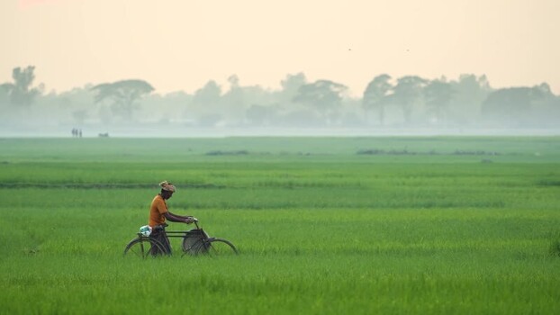 View of a man with a bicycle in a green field Bangladesh. View of a man with a bicycle in a green field Bangladesh.