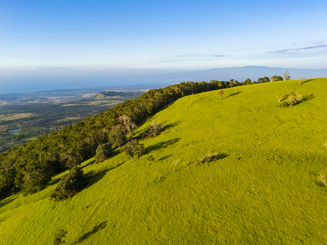 Aerial view of the lush green slopes of Puu Waawaa cinder cone with dense trees and the distant coastline in Hawaii County Hawaii United States. Aerial view of the lush green slopes of Puu Waawaa cinder cone with dense trees and the distant coastline in Hawaii County Hawaii United States.