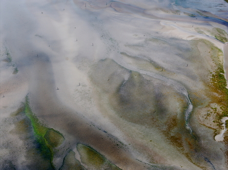 Aerial view of Abstract Tidal Patterns Culbin Sands featuring intricate sand textures winding water channels and patches of green vegetation at low tide Nairn Scotland United Kingdom. Aerial view of Abstract Tidal Patterns Culbin Sands featuring intricate sand textures winding water channels and patches of green vegetation at low tide Nairn Scotland United Kingdom.