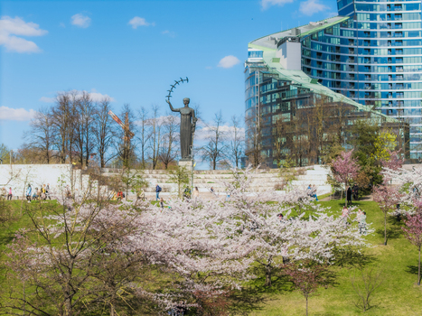 Aerial view of Chiune Sugihara Sakura Park with blooming cherry trees a bronze statue and modern glass architecture in the background in Vilnius Vilniaus apskritis Lithuania. Aerial view of Chiune Sugihara Sakura Park with blooming cherry trees a bronze statue and modern glass architecture in the background in Vilnius Vilniaus apskritis Lithuania.