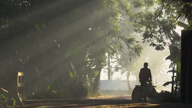 View of a man walking on a misty rural road with sunbeams Bangladesh. View of a man walking on a misty rural road with sunbeams Bangladesh.