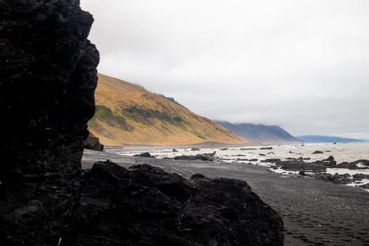 View of the rugged Lost Coast with black sand beaches and dark volcanic rocks under a misty sky in Humboldt County California United States.