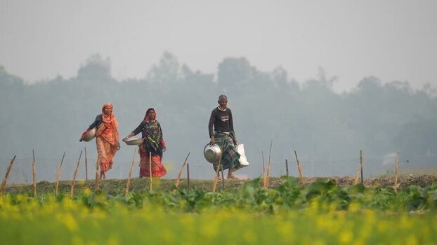 View of people walking through rural fields in Bogura Bangladesh.