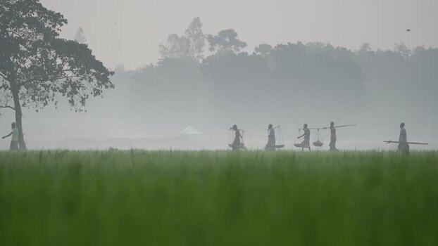 View of workers walking through a misty field in Bogura Bangladesh.