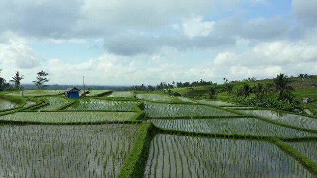 Aerial view of Jatiluwih rice terraces and green hills Indonesia.