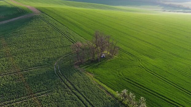 Aerial view of rolling green fields in South Moravian Region Czechia.