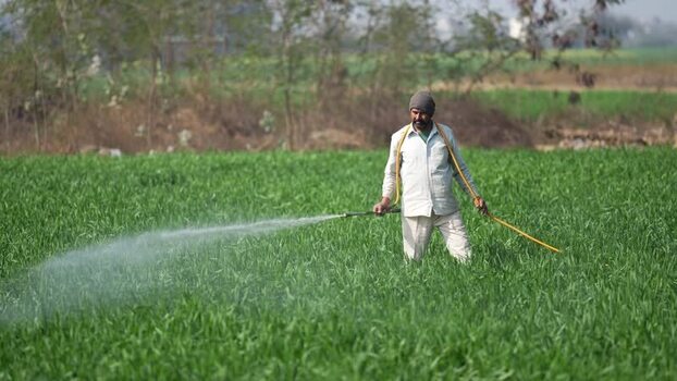 View of a farmer spraying pesticides in a green field India. View of a farmer spraying pesticides in a green field India.